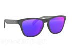 Γυαλιά Ηλίου Oakley Junior Frogskins XS 9006 07