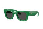 Γυαλιά Ηλίου Rayban 4940 WAYFARER PUFFER 683487