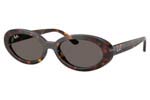 Γυαλιά Ηλίου Rayban 2223 902-B1