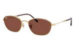 Γυαλιά Ηλίου Rayban 3749 001-C5