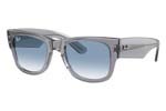 0840S MEGA WAYFARER