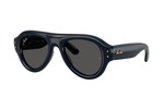 Γυαλιά Ηλίου Rayban 4925 AVIATOR PUFFER 689587