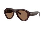 Γυαλιά Ηλίου Rayban 4925 AVIATOR PUFFER 689673